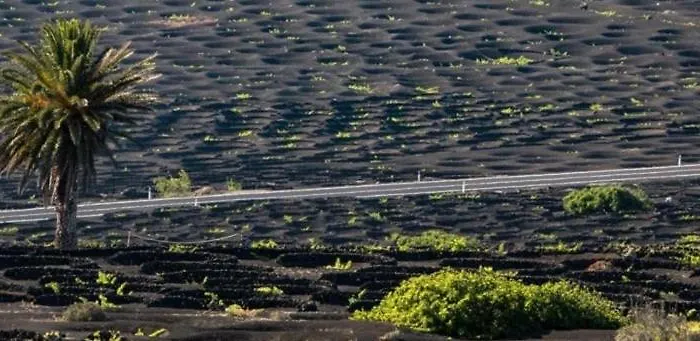 Casa Gary Caleta de Caballo